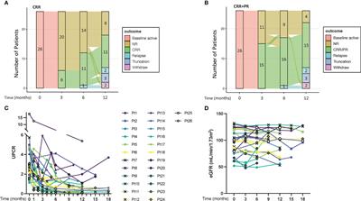 Efficacy and safety of Iguratimod as an add-on therapy for refractory lupus nephritis: A preliminary investigational study